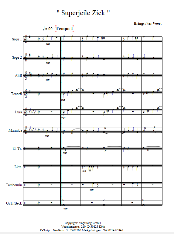 Superjeile Zick (Brings)